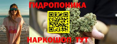 2c-b Обь