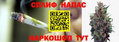 2c-b Обь